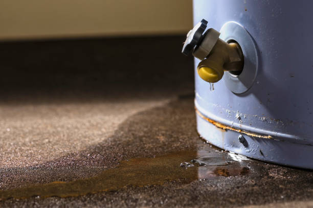 Best Flood damage cleanup  in Smithville Sanders, IN