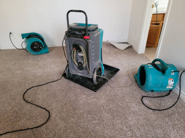 Best Water damage contractors near me  in Smithville Sanders, IN