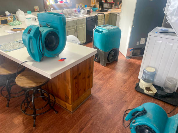 Best Mold removal after water damage  in Smithville Sanders, IN
