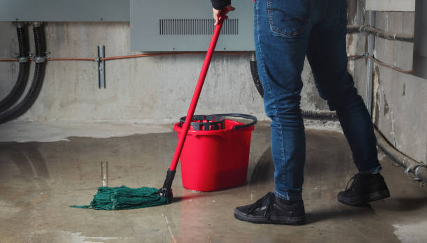 Best Carpet water damage restoration  in Smithville Sanders, IN