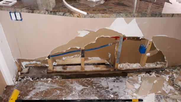 Best Professional water damage repair  in Smithville Sanders, IN