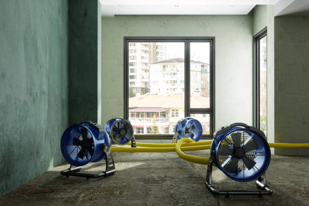 Best Basement water damage restoration  in Smithville Sanders, IN